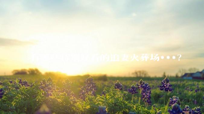 有哪些特别好看的追妻火葬场***？